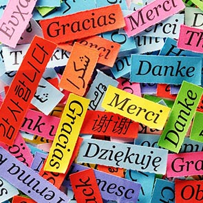 Nadir Diller Terc�me B�rosu �zmir Yeminli Terc�man Nadir Diller